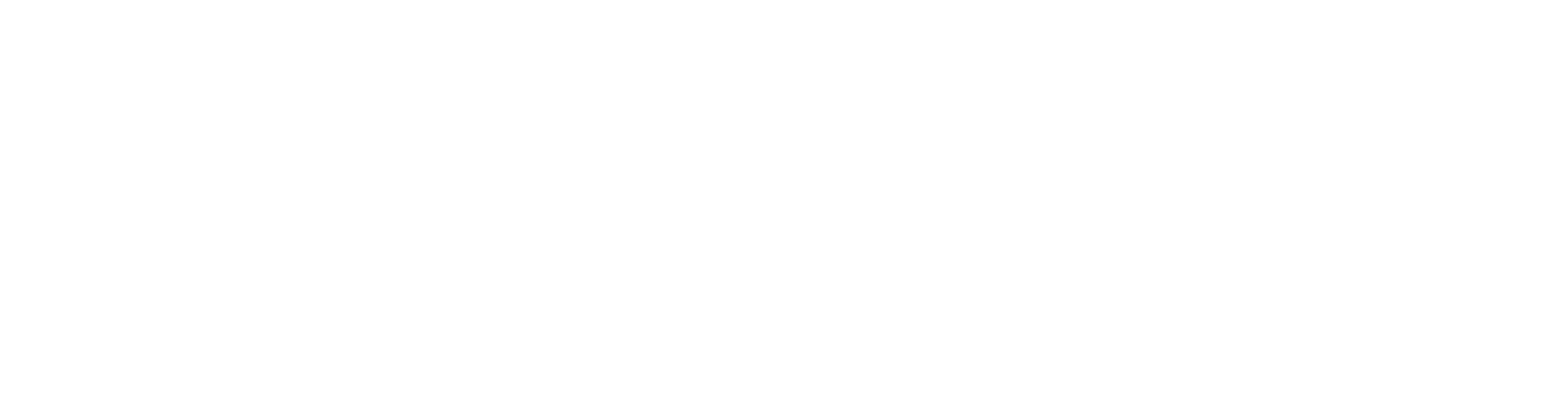 OOB MUN emblem